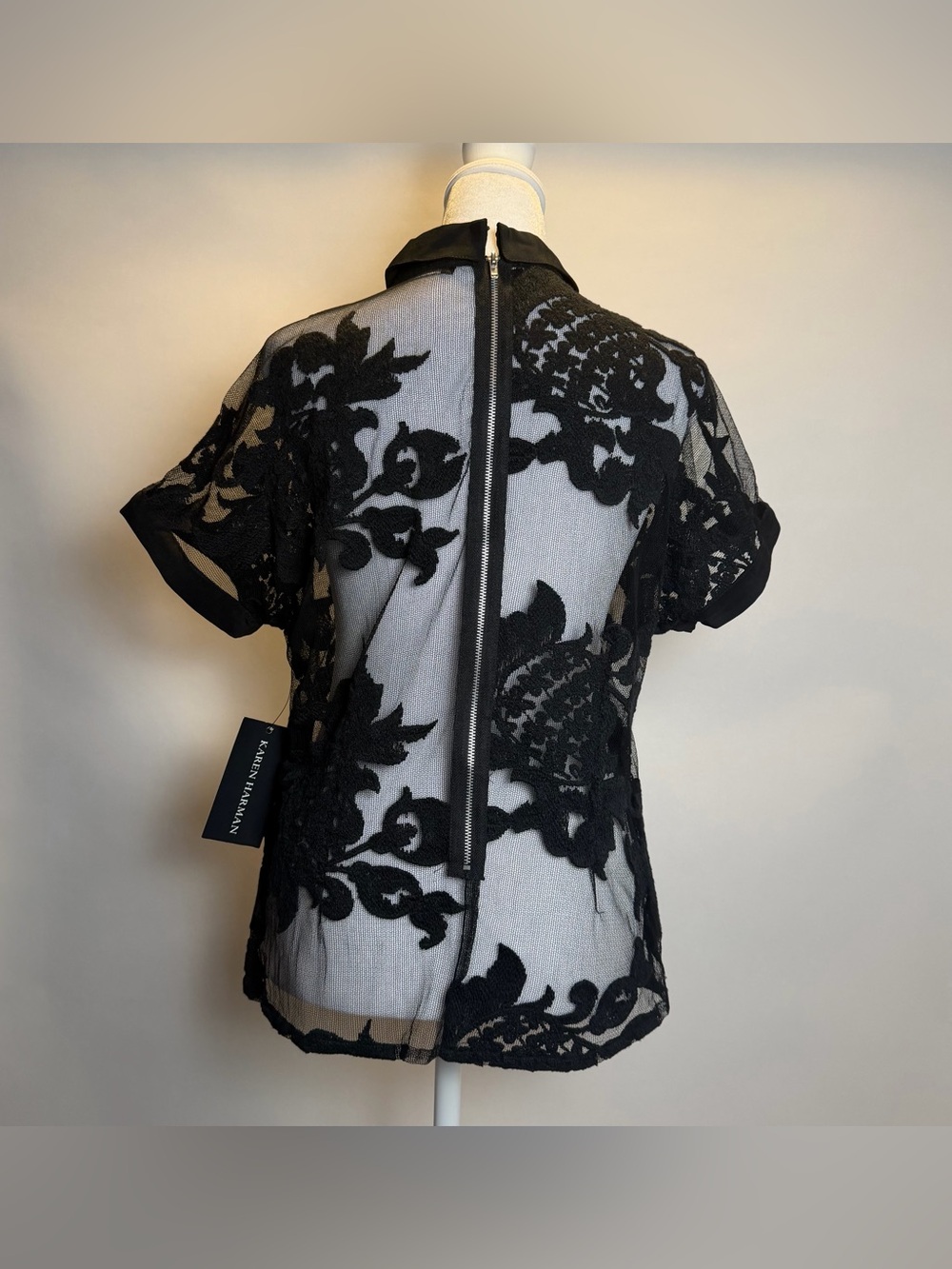 Black Sheer Lace Collared Women's Blouse - Picture 2 of 11